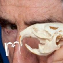 Previews Begin Tonight for Talking Band's FUSIFORM GYRUS, Starring Tom Nelis