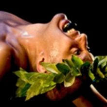 CAATA And Hawaiian Representatives In Chicago For ConFest 2018 Join Peaceful Rally