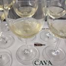Marinas Menu: SPAINS GREAT MATCH Showcases Wines of Spain and More