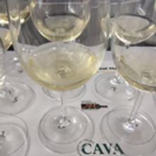 Marinas Menu:  SPAINS GREAT MATCH Showcases Wines of Spain and More