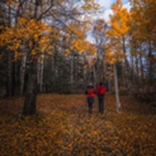 Autumn in Newfoundland and Labrador Brings Foliage, Festivals and...