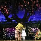 BWW Review: THE SECRET GARDEN Mesmerizes Houston Audiences as Theatre Under The…