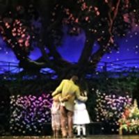 BWW Review: THE SECRET GARDEN Mesmerizes Houston Audiences as Theatre Under The Stars Photo