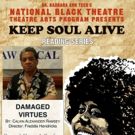 The National Black Theatre Announces Staged Reading of DAMAGED VIRTUES