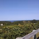 Summer Stages: Long Island Spring/Summer 2019 Preview