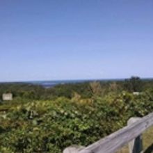 Summer Stages: Long Island Spring/Summer 2019 Preview