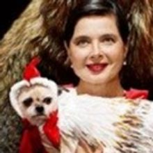 LINK LINK Comes to the Theatre Nation De Nice this October