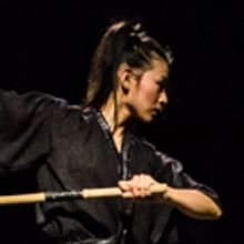 BWW Review: Ninja Ballet Thrills with Explosive Martial Arts and Enchanting Live Musi