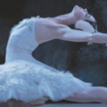 Los Angeles Ballet's Critically Acclaimed Production Of SWAN LAKE Begins 3/3