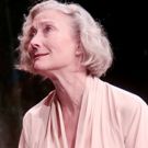 Photo Flash: Classical Theatre Company presents AN ENEMY OF THE PEOPLE, 2/9 through…