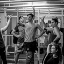 PRISCILLA QUEEN OF THE DESERT Comes To London This Month