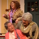 BWW Review: Circle Players' 2017-18 Season Continues With STEEL MAGNOLIAS