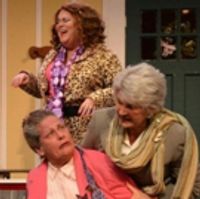 BWW Review: Circle Players' 2017-18 Season Continues With STEEL MAGNOLIAS Photo
