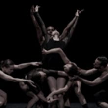 STG Presents L-E-V Dance Company's OCD LOVE