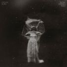 Moon Ruin's New Single TARMAC From Forthcoming LP Premieres at PopMatters