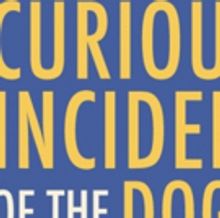 A.W. Dreyfoos School Of The Arts Presents THE CURIOUS INCIDENT OF THE DOG IN THE NIGH