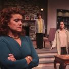 BWW Review: OTHER DESERT CITIES at The Chatham Playhouse