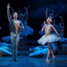 Vuelve El Lago De Los Cisnes, Un Ballet Que Nos Recuerda Que “siempre Habrá Alguie