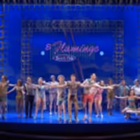 VIDEO: Get A First Look At THE FLAMINGO KID at Hartford Stage Video