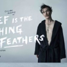 GRIEF IS THE THING WITH FEATHERS Comes to Galway and Dublin