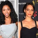 USA Network Announces Series Pickup for DARE ME