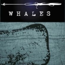 Hit The Lights! Theater Co. Presents WHALES At The Peoples Improv Theater