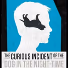 KC Rep Presents THE CURIOUS INCIDENT OF THE DOG IN THE NIGHT-TIME