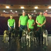 Rescue Greyhounds To Grace The Stage At The Opera House Manchester