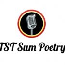 Towne Street Theatre's TST Summer Series Presents Nights Of Sum Poetry