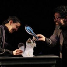 De la vida privada de los gatos, teatro de papel que busca abonar a la construcción 