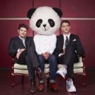 One-Night Only: THE BEAR PACK Returns in Sydney