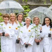 THE CALENDAR GIRLS Plant A Legacy Of Sunflowers At Birmingham's Winterbourne House &