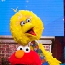 How Brandon Wagner Captures the Larger Than Life Big Bird in SESAME STREET LIVE! MAKE