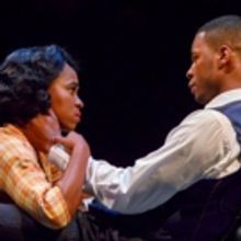 Signature Theatre Announces Free Special Events For PARADISE BLUE