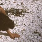 Acclaimed Singer/Songwriter Nadia Nair Delivers New Single 'K'