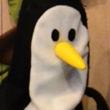 PENGUIN IN MY POCKET and More Coming Soon To Great AZ Puppet Theater