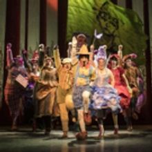 BWW Review: SHREK THE MUSICAL, Edinburgh Playhouse