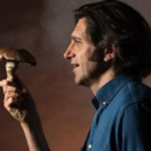 Greenhouse Theater & The Marsh Present THE MUSHROOM CURE