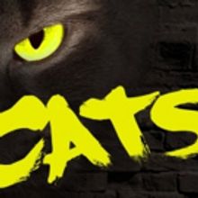 CATS Playing At Bruce Mason Centre 4/20!