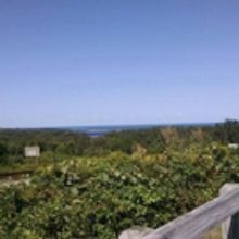 Summer Stages: Long Island Spring/Summer 2018 Preview