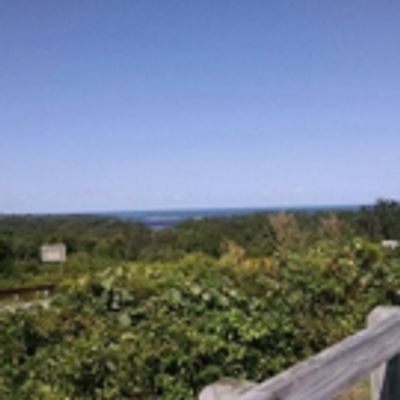 Summer Stages: Long Island Spring/Summer 2018 Preview