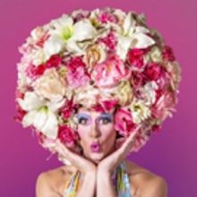 PRISCILLA QUEEN OF THE DESERT Comes To Slow Burn Theatre Company