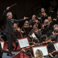 BWW Review: I Like MOZART. Does That Make Me a Bad Person? Photo