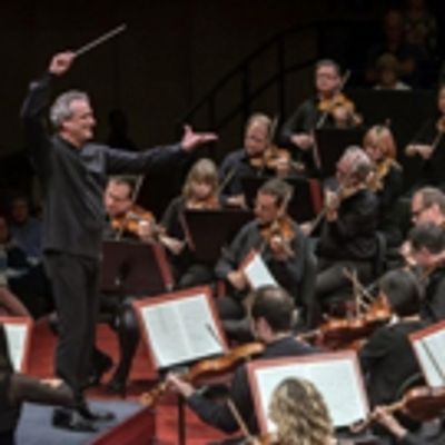 BWW Review: I Like MOZART. Does That Make Me a Bad Person?
