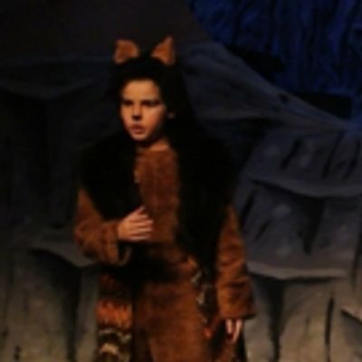 BWW Feature: The Great South Bay YMCA Act Out Theatre Program's THE LION KING JR. Presented at Newly Renovated Boulton Center for the Performing Arts
