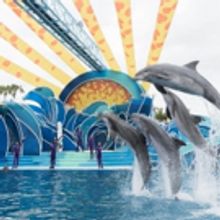 Marinas Menu & Lifestyle: SEAWORLD SAN DIEGO-Plan Your Visit