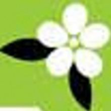 MOONLIGHT AND MAGNOLIAS Opens The New Year At Roswell Cultural Arts Center