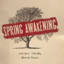 BWW Review: SPRING AWAKENING at Westside Theatre TAURANGA