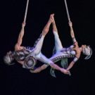 BWW Review: OVO, Royal Albert Hall