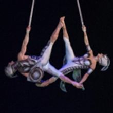 BWW Review: OVO, Royal Albert Hall